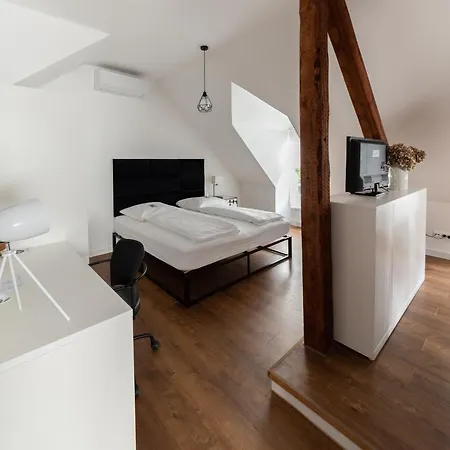 Апартаменты Design-loft Und